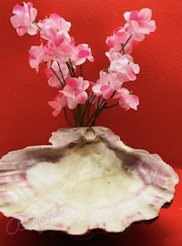 pink flowers in a vase on a red surface